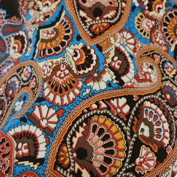 Beautiful paisley Peck&Peck top.  Excellent condition.  Size Medium. - Picture 5 of 5